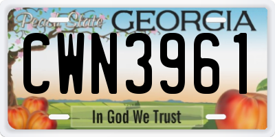GA license plate CWN3961