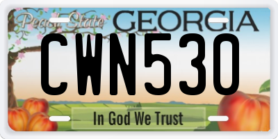 GA license plate CWN530