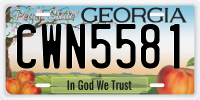 GA license plate CWN5581