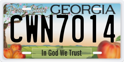 GA license plate CWN7014