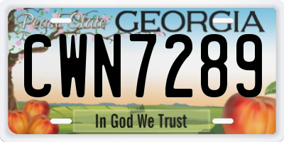 GA license plate CWN7289