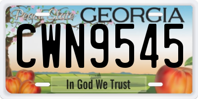 GA license plate CWN9545
