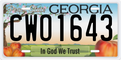 GA license plate CWO1643