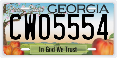 GA license plate CWO5554