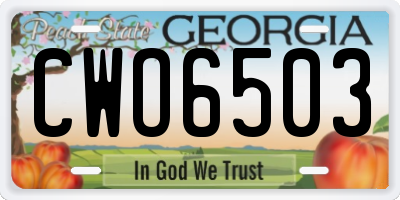 GA license plate CWO6503