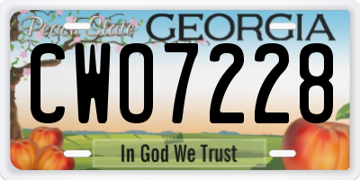 GA license plate CWO7228
