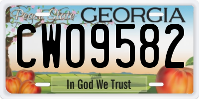 GA license plate CWO9582
