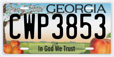 GA license plate CWP3853