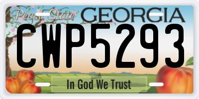 GA license plate CWP5293