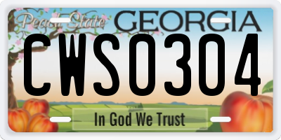 GA license plate CWS0304
