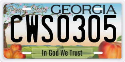 GA license plate CWS0305