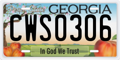 GA license plate CWS0306