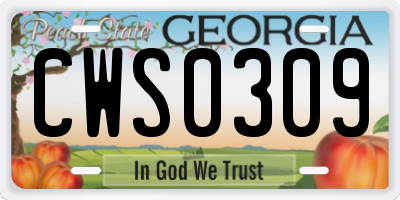 GA license plate CWS0309