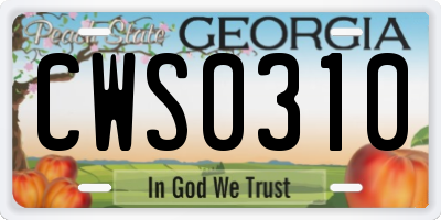 GA license plate CWS0310