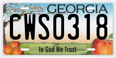 GA license plate CWS0318
