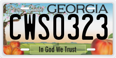 GA license plate CWS0323