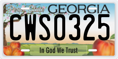 GA license plate CWS0325