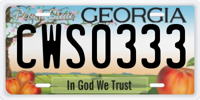 GA license plate CWS0333