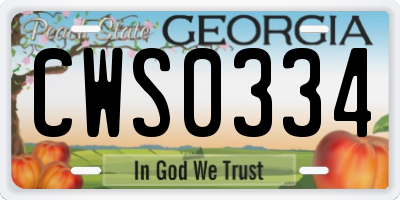 GA license plate CWS0334