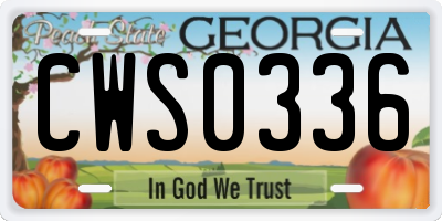 GA license plate CWS0336