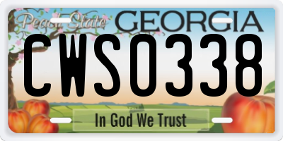 GA license plate CWS0338