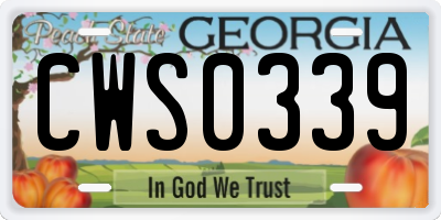 GA license plate CWS0339