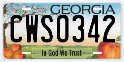 GA license plate CWS0342