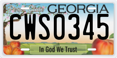 GA license plate CWS0345