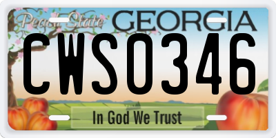 GA license plate CWS0346