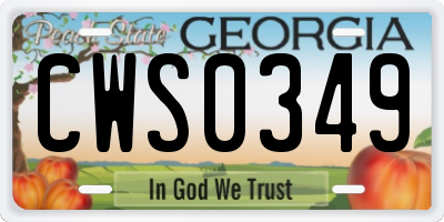 GA license plate CWS0349
