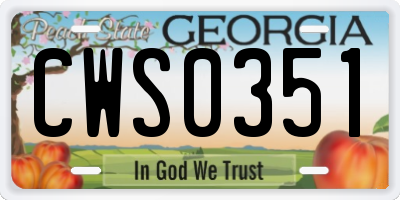 GA license plate CWS0351