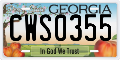 GA license plate CWS0355