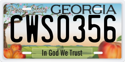 GA license plate CWS0356
