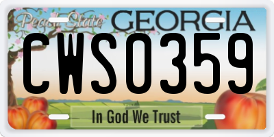 GA license plate CWS0359