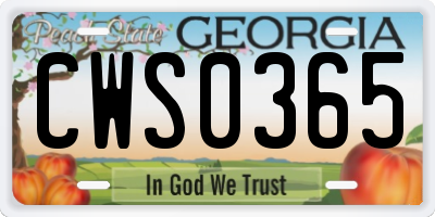 GA license plate CWS0365