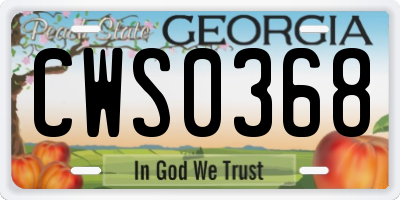 GA license plate CWS0368