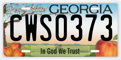 GA license plate CWS0373