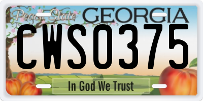 GA license plate CWS0375