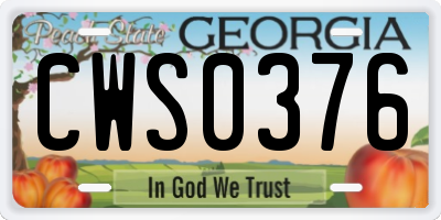 GA license plate CWS0376