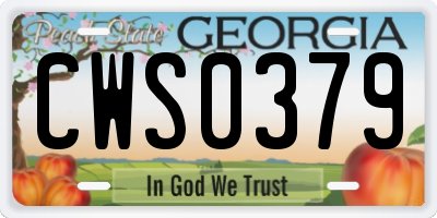 GA license plate CWS0379