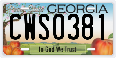 GA license plate CWS0381