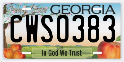 GA license plate CWS0383