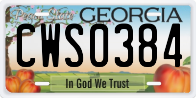 GA license plate CWS0384