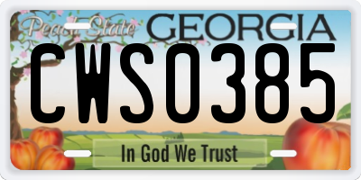 GA license plate CWS0385