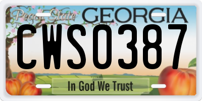 GA license plate CWS0387