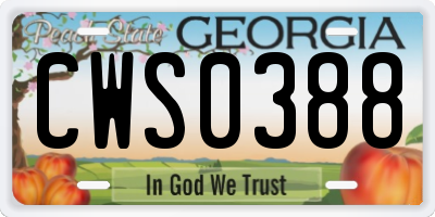 GA license plate CWS0388