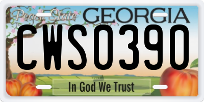GA license plate CWS0390