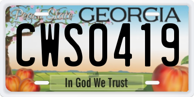 GA license plate CWS0419