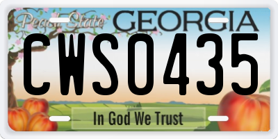 GA license plate CWS0435
