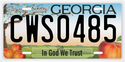 GA license plate CWS0485